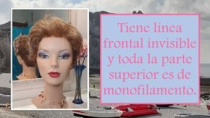 Frontal Invisible Peluca Tani